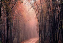 哪里能找到2019男篮世界杯回放完整版？这场赛事有哪些经典瞬间值得回顾？