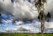 穆阿尼那记单刀要是进了，足球世界会发生什么？