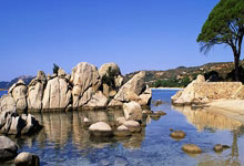 英雄联盟官网能为玩家做什么？新手必知的实用功能全解析